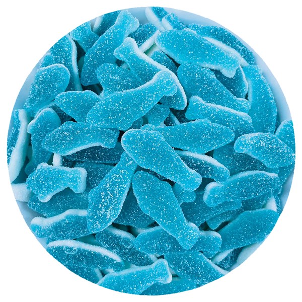Sour Sharks 1KG