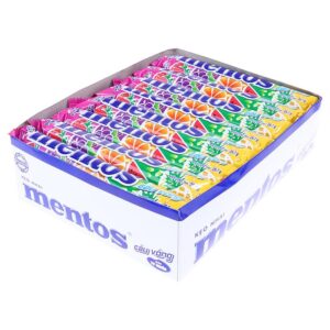 Mentos Rainbow Fruit Flavour 29.7GM 16PK