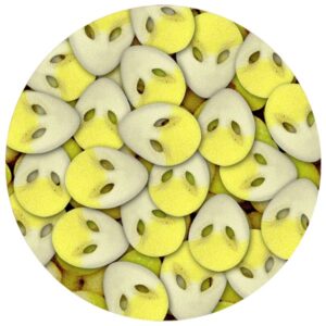 Juicy Jelly Sweddish Alien Passionfruit Pineapple 2.27KG